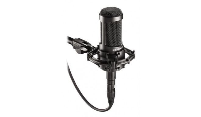 Audio-Technica AT2035 microphone