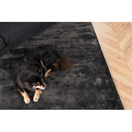 Vaip Indra 300x200 cm, tumehall