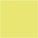 Kartong Iris Kiwi 50 x 65 cm (25 Ühikut)