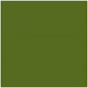 Card Iris Military green 50 x 65 cm (25 Units)