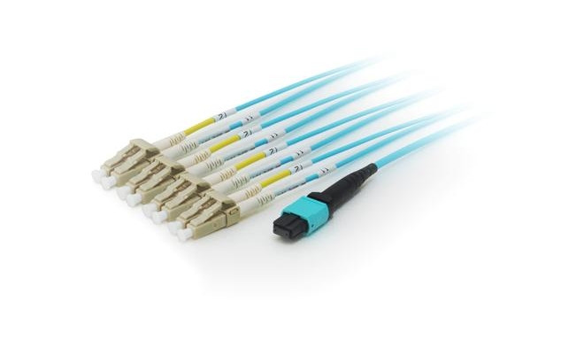 Equip MTP/MTP Trunk Fiber Optic Patch Cable, OM4, 20m