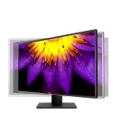 ASUS ProArt PA329C 81.3 cm (32") 3840 x 2160 pixels 4K Ultra HD LCD Black
