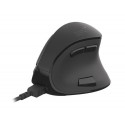 NATEC Euphonie mouse Right-hand Bluetooth Optical 2400 DPI