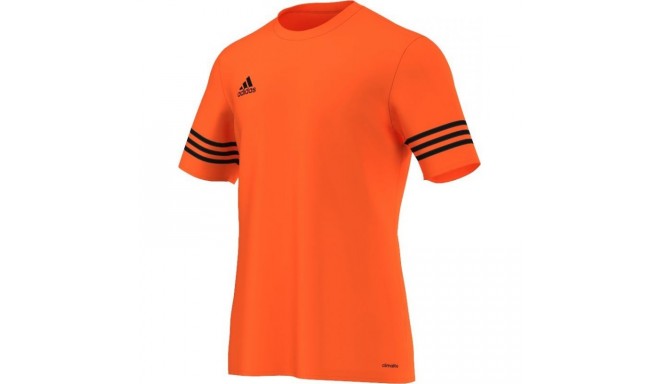 Adidas entrada cheap 14 junior