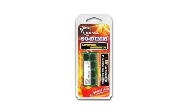 G.Skill 4GB DDR3-1600 memory module 1 x 4 GB 1600 MHz