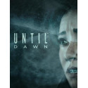 Sony Until Dawn, PS4 Standard PlayStation 4