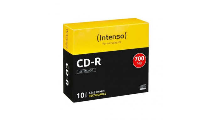 Intenso INT-1001622