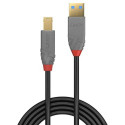 Lindy 1m USB 3.2 Type A to B Cable, Anthra Line
