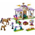 LEGO Friends Hobuste koolitus