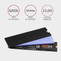 Axagon CLR-M2L3 computer cooling system Solid-state drive Heatsink/Radiatior Black