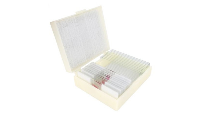 Konus Preparation Set Bacteria, Simple Organisms (10 Pcs)