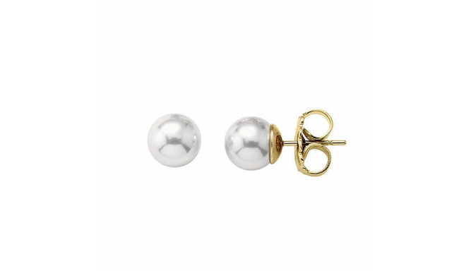 Ladies' Earrings Majorica 00326.01.1.000.701.1