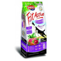 DRY FOOD FOR DOGS FIT ACTIVE EVERYDAY