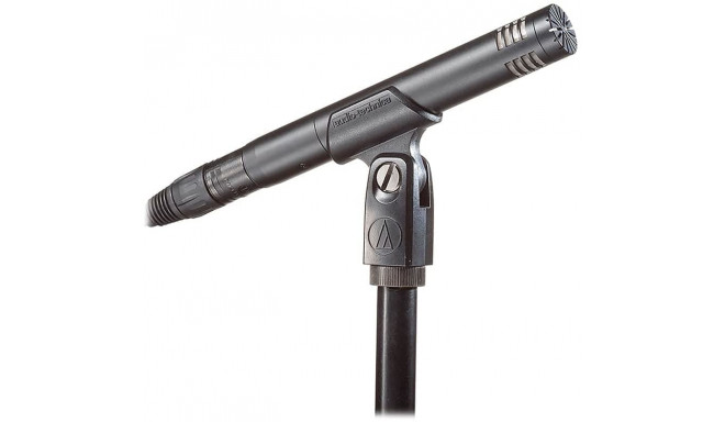 Audio Technica AT2031 Condenser Microphone black - Cardioid condenser microphone