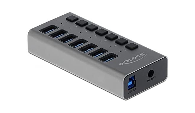 Delock External SS USB Hub 7Ports + Switch - 63669