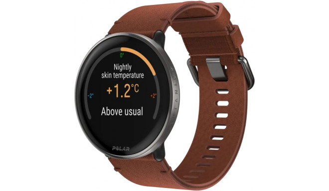 Polar Ignite 3 Titanium S-L, brown