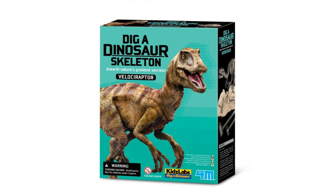 4m Excavations - Velociraptor
