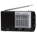 ANALOG RADIO RM104