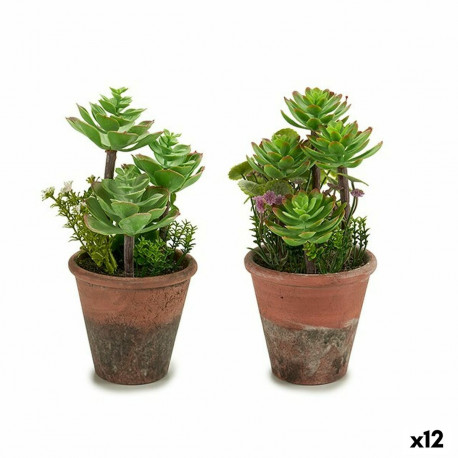 Decorative Plant Ibergarden XD16-849 XD16-849 Plastic Succulent 16 x 23 x 16 cm (12 Units)