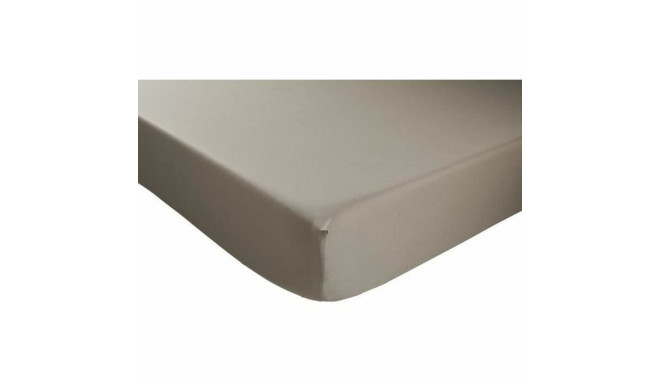 Aluslina DODO Pruunikashall