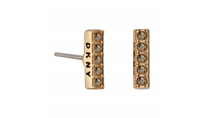 Ladies' Earrings DKNY 5520081 1 cm