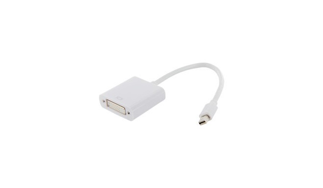 4World Adapter mini DisplayPort [M] > DVI-I (24+5) [F], white