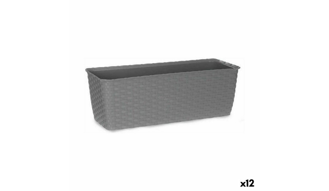 Istutuskast Stefanplast 73748 73748 Hall Plastmass 15,5 x 13,5 x 39 cm (12 Ühikut)