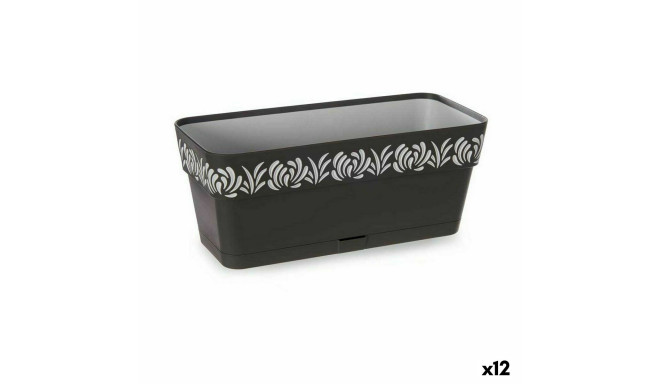 Istutuskast Stefanplast 88703 Gaia Antratsiithall Plastmass 13,3 x 12,3 x 29,3 cm (12 Ühikut)