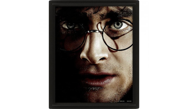 Plakat Harry Potter/Voldemort 3D