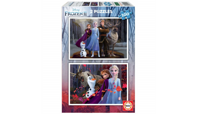 2 Pusle Komplekt   Frozen Believe         40 x 28 cm 100 Tükid, osad