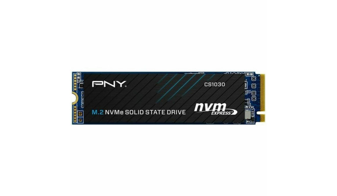 Hard Drive PNY M280CS1030-250-RB