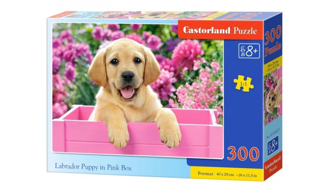 Puzzles 300 elements Labrador in a box