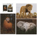 Ambassador Wildlife 3x1000 Pieces (Donal Boyd)