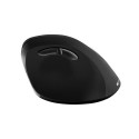 Canyon CNS-CMSW16B mouse Ambidextrous RF Wireless Optical 1600 DPI