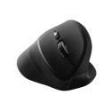 Canyon CNS-CMSW16B mouse Ambidextrous RF Wireless Optical 1600 DPI