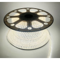 LED riba Tamoline, 50m