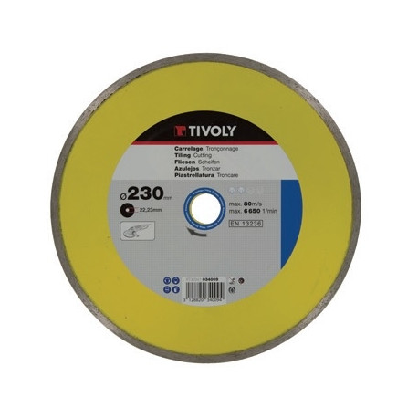 Diamond disc Tivoly continuous 115x22,2mm
