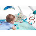 TREASURE THE OCEAN 2-IN-1 MUSICAL GYMINI Tiny love