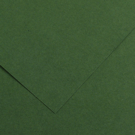 Kartong Vivaldi 50x65 /240g 31 metsaroheline