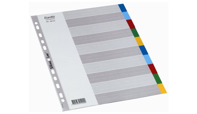 Registrilehed 10 osaline A4 Maxi, värviline plast, Elba (laius 245mm)