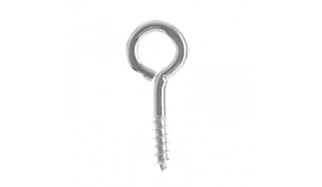 SCREWD LOOP D16 6.0X40 2 tk