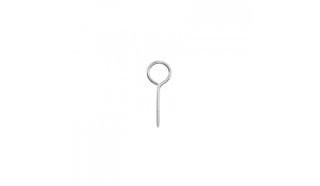 SCREWD LOOP D16 6.0X60 2 tk