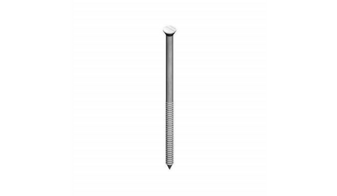 STRIP NAIL 35X1.4 MESSING LATENT HEAD100