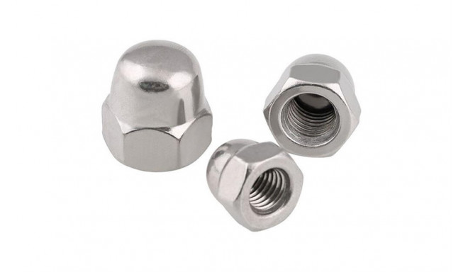 NUT DIN1587 M6 ZN 10PCS