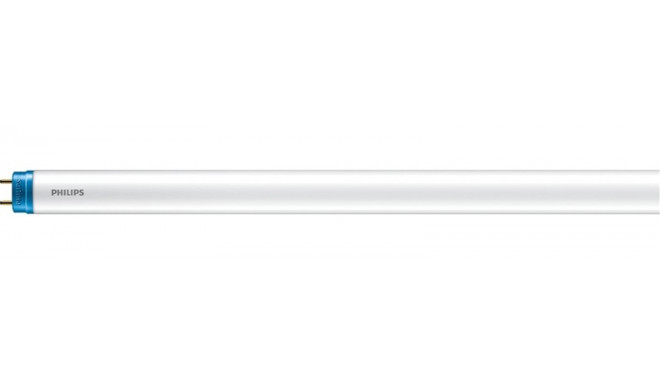 LAMP LED T8 600MM 8W G13 CW 1CT/4