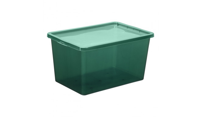 COLOR BOX20L TRANSLUCENT GREEN