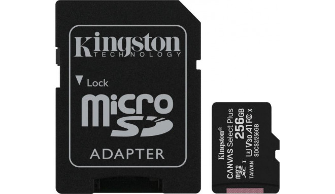 Kingston mälukaart SDXC 256GB UHS-I + adapter (SDCS2/256GB)
