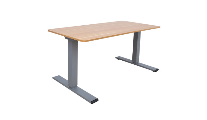 Desk ERGO OPTIMAL with 2 motors 160x80cm, hickory