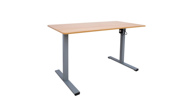 Desk ERGO OPTIMAL with 1 motor 120x60cm, oak/grey