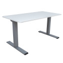 Desk ERGO OPTIMAL with 2 motors 160x80cm, greyish white